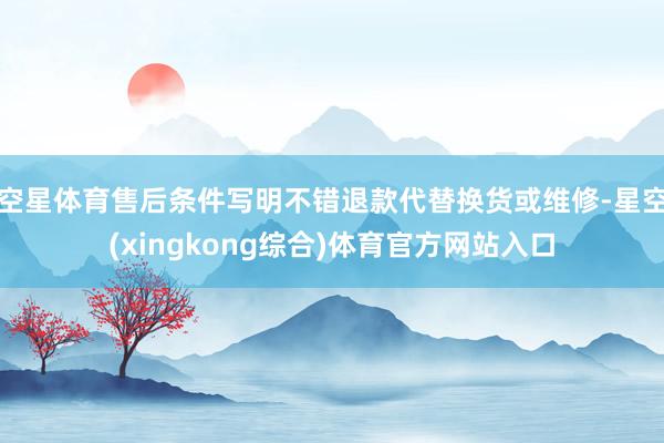 空星体育售后条件写明不错退款代替换货或维修-星空(xingkong综合)体育官方网站入口