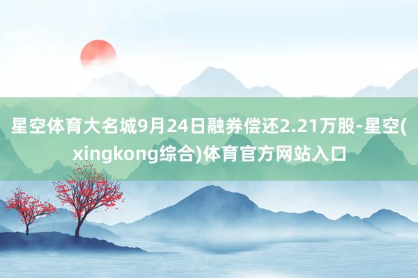星空体育大名城9月24日融券偿还2.21万股-星空(xingkong综合)体育官方网站入口