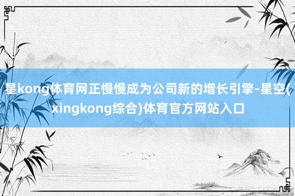 星kong体育网正慢慢成为公司新的增长引擎-星空(xingkong综合)体育官方网站入口